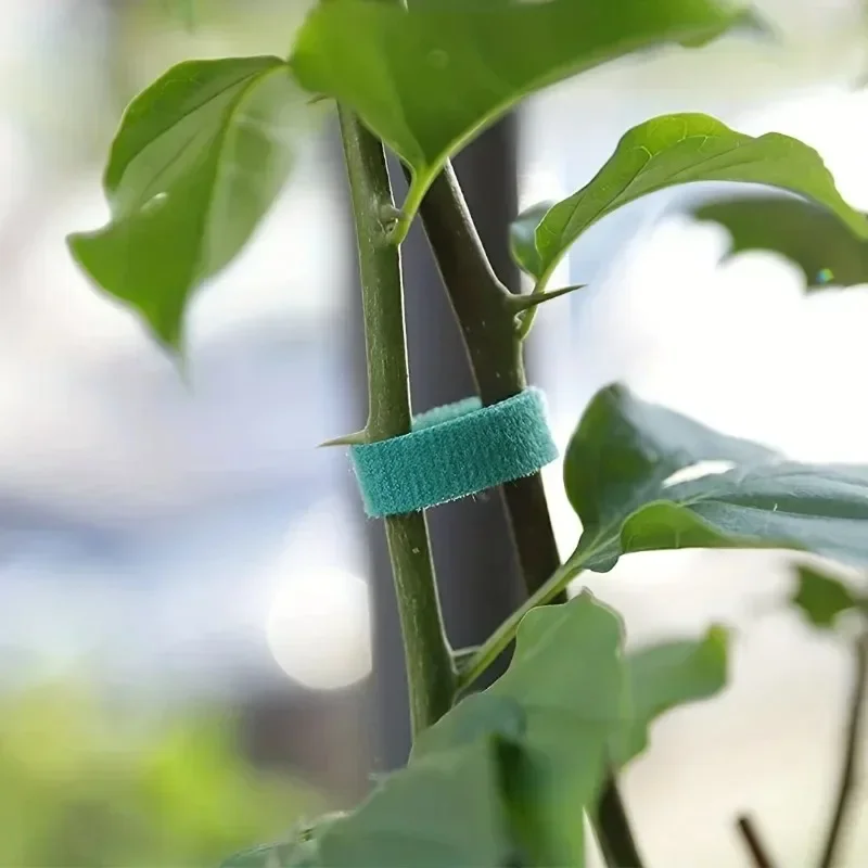 Self Adhesive Plant Nylon Cabl – Gear Tie Reusable recenzja i cena