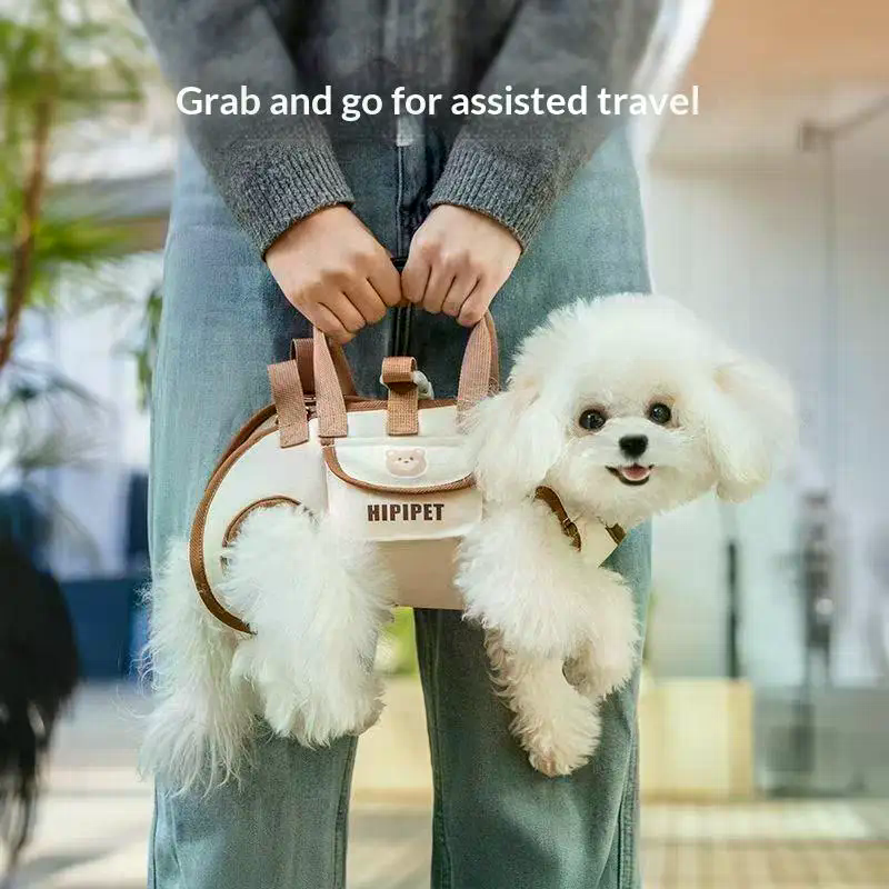 Portable Pets Outdoor Carrying – Edc Carry Clip recenzja i cena